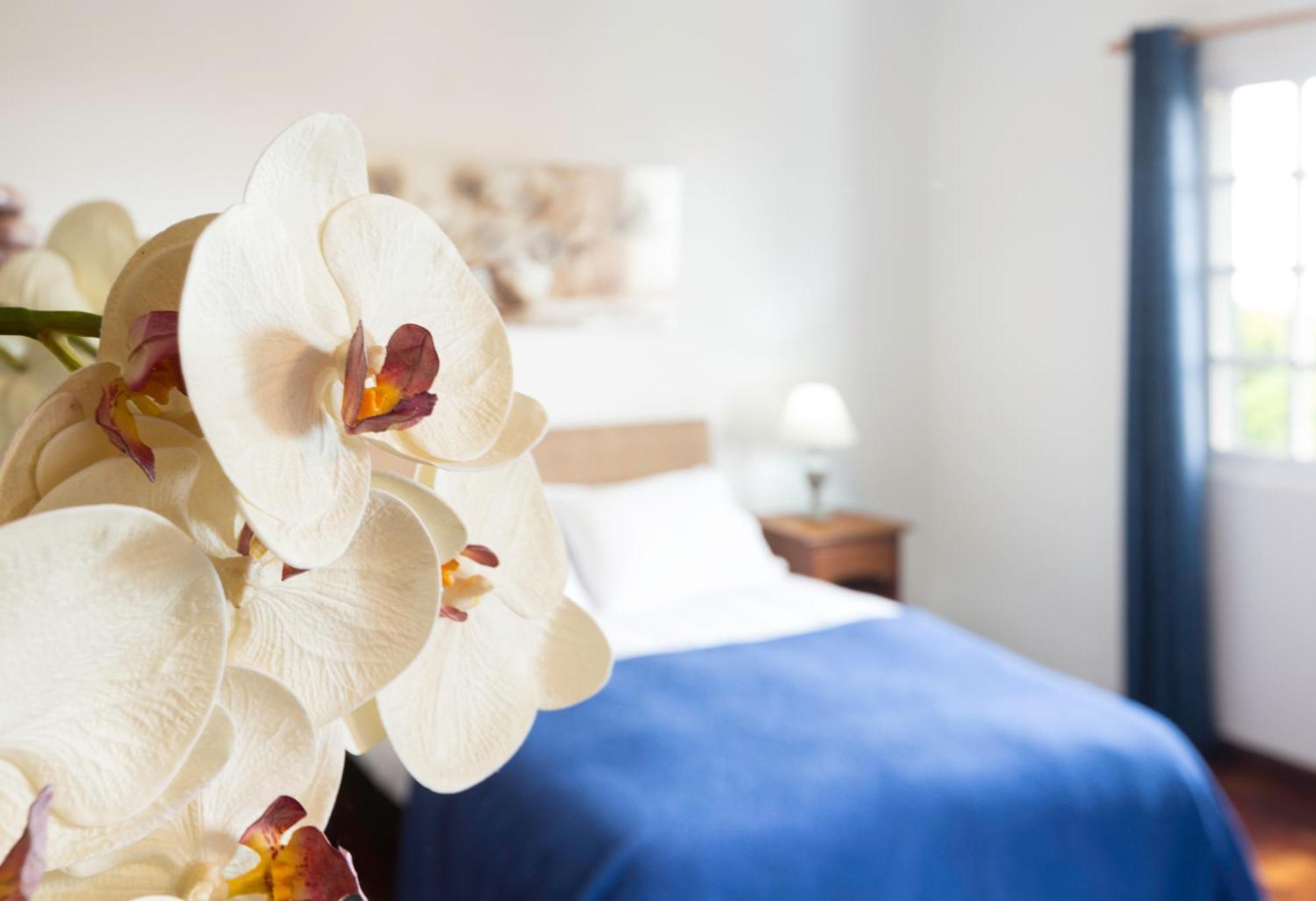Villa Casa de São Gonçalo à Funchal  Chambre photo